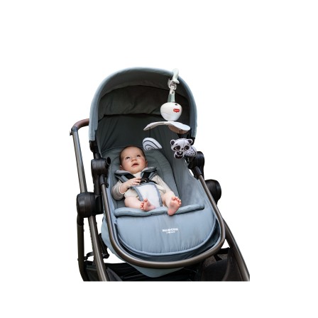 MOBILE TAKE ALONG BLACK & WHITE DECOR