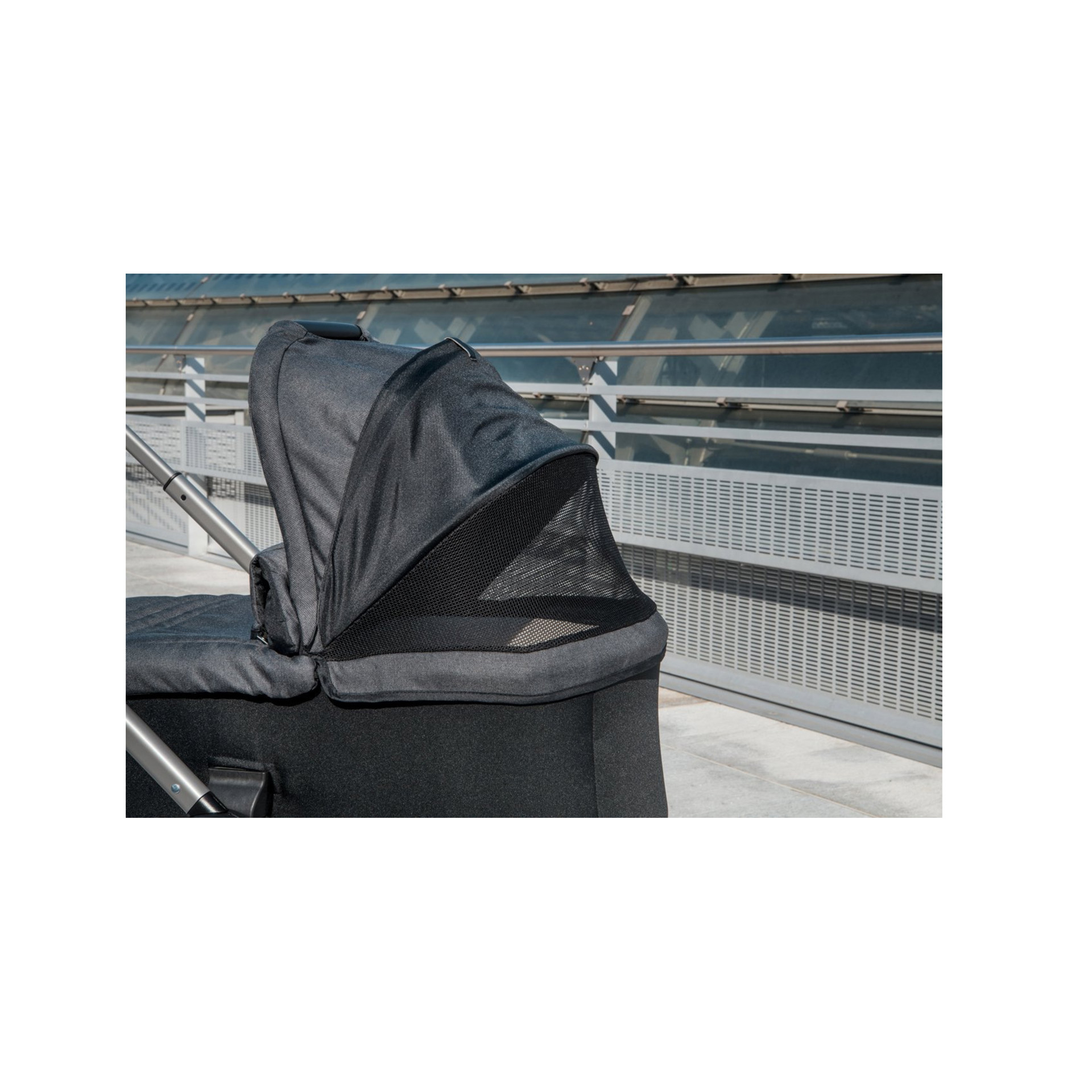 ALCOFA BEST FRIEND LIGHT