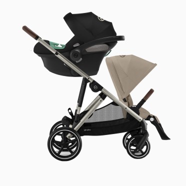 GAZELLE S TAUPE