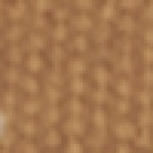 Cinnamon