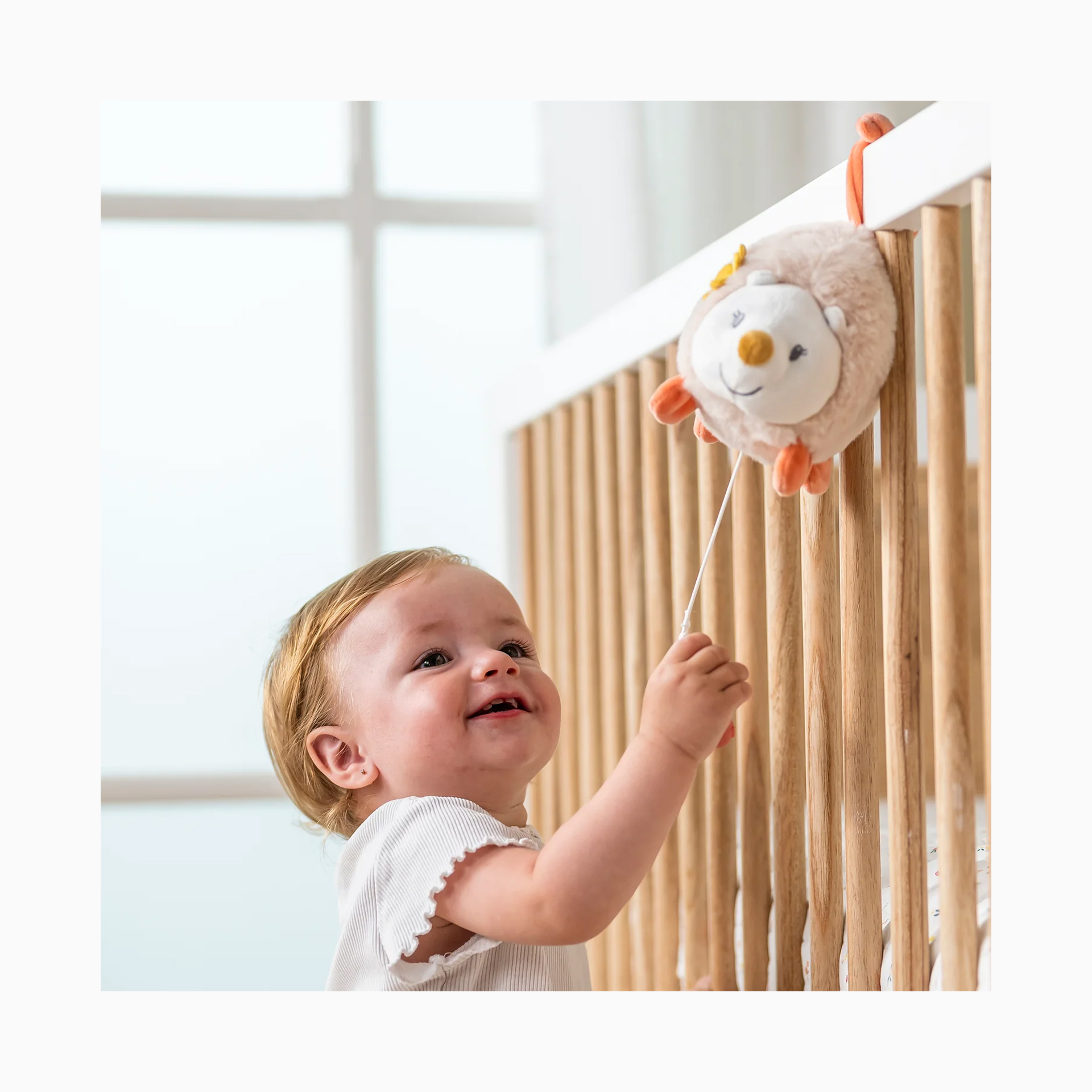 CAIXA DE MUSICA ZOE O OURIÇO