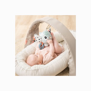 BRINQUEDO SENSORIAL DE ATIVIDADE BIRDEE