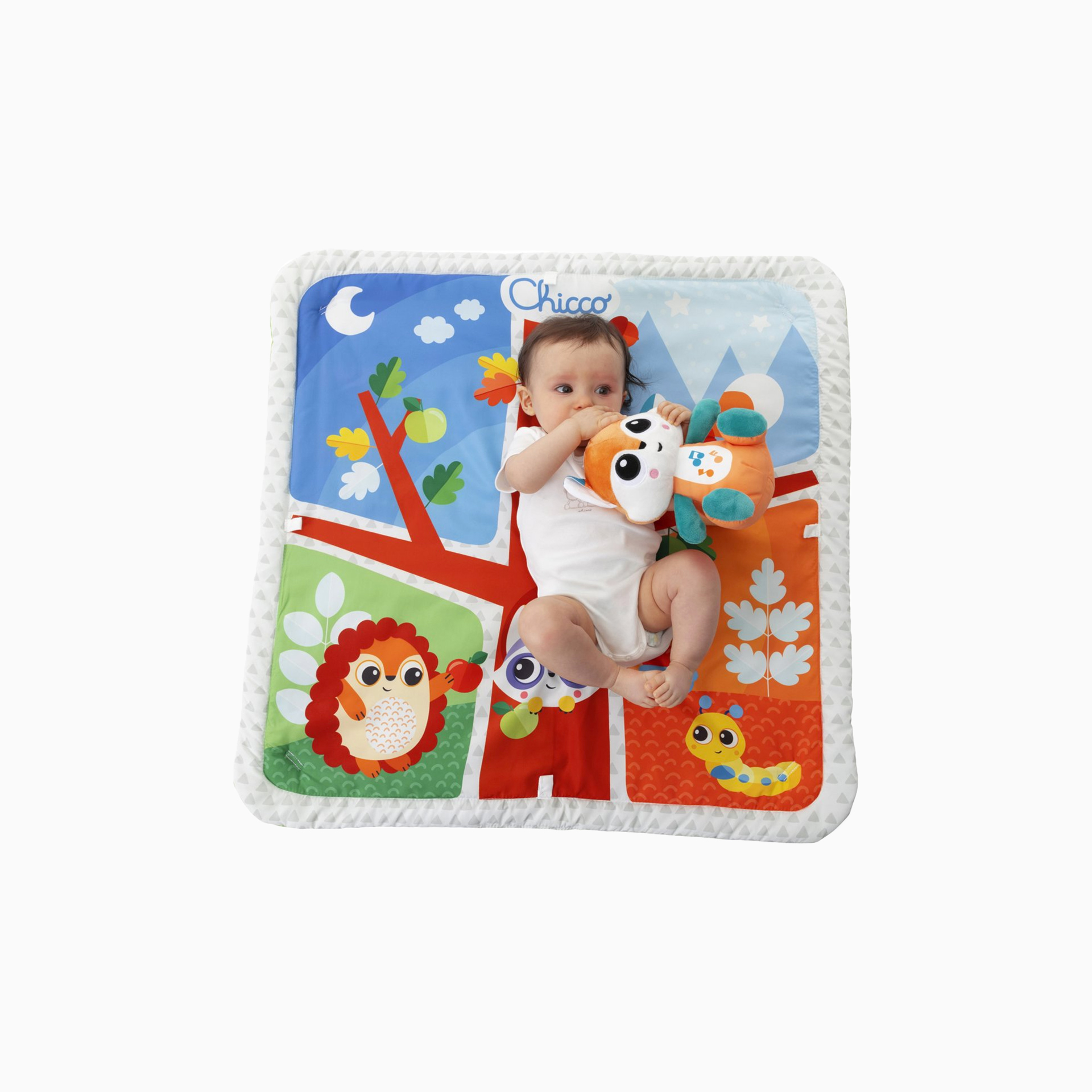 FLORESTA MÁGICA RELAX & GINÁSIO