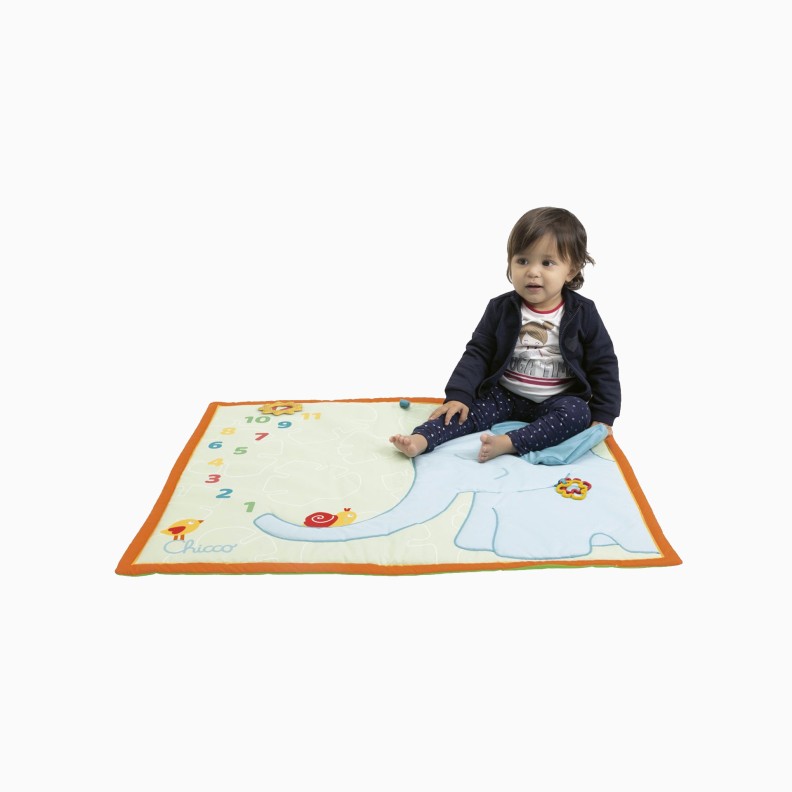 TAPETE FOTOGRAFIAS 1º ANO BEBÉ