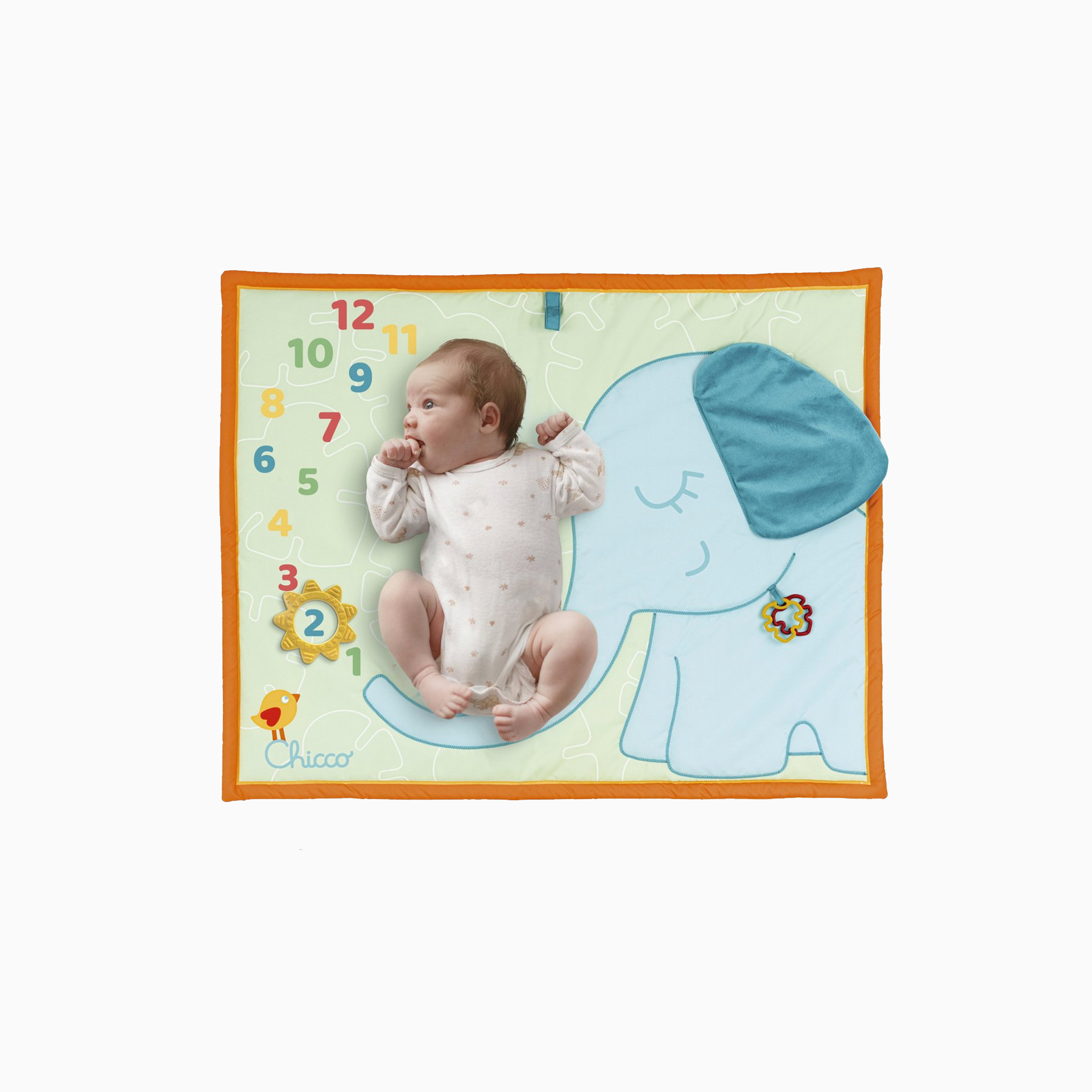 TAPETE FOTOGRAFIAS 1º ANO BEBÉ