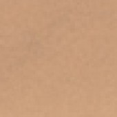 Camel Brown