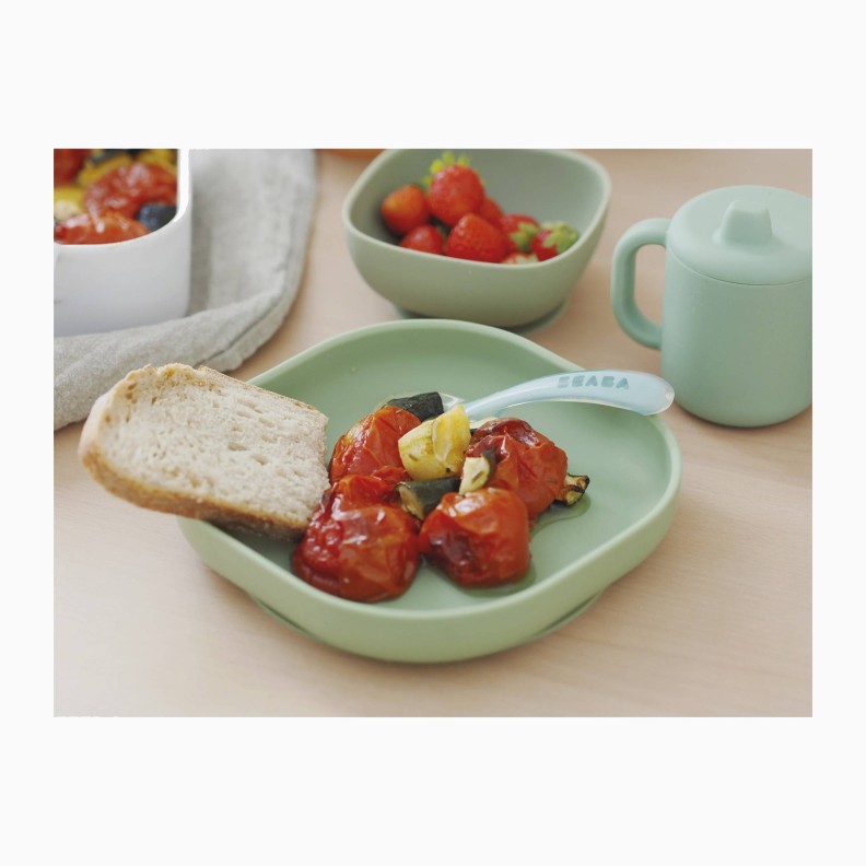 PRATO SILICONE COM VENTOSA