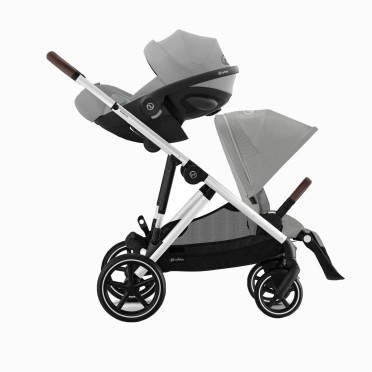 GAZELLE S SILVER