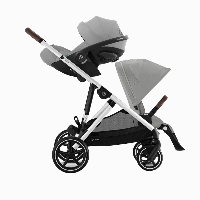 GAZELLE S SILVER