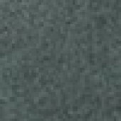 Fir Tree