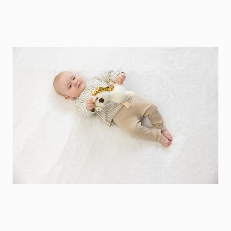 TAKE ALONG MUSICAL UNICORN WONDERLANDS