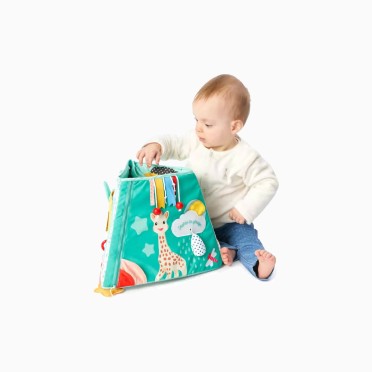 QUADRO DE ATIVIDADES MULTIFACETADO