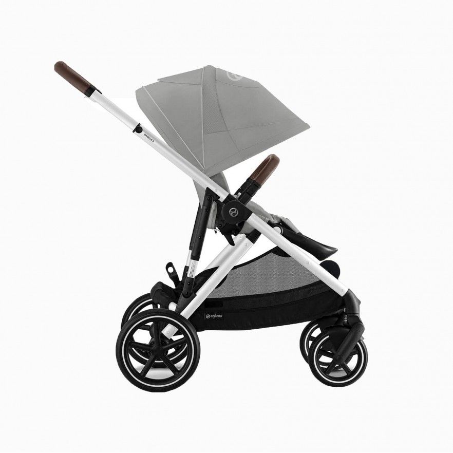 GAZELLE S SILVER