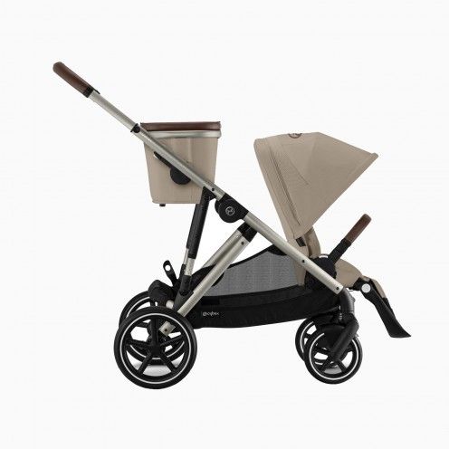 GAZELLE S TAUPE
