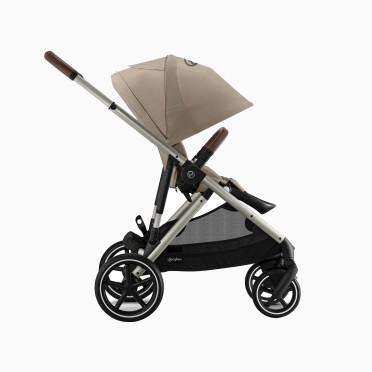 GAZELLE S TAUPE