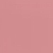 Raspberry