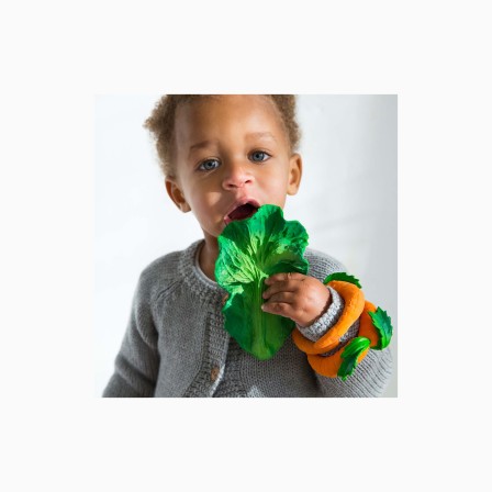 MORDEDOR KENDALL A COUVE