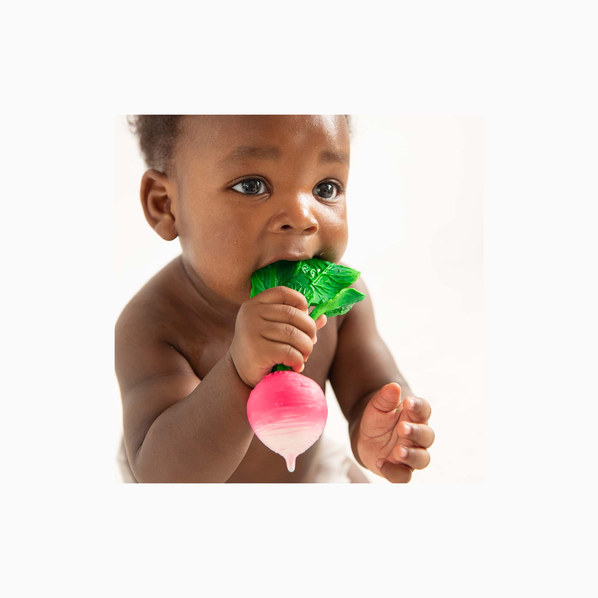 MORDEDOR RAMONA O RABANETE