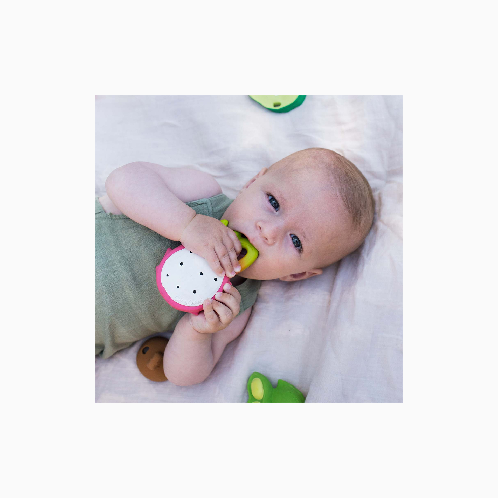 MORDEDOR FRUTA DRAGÃO FUCSIA