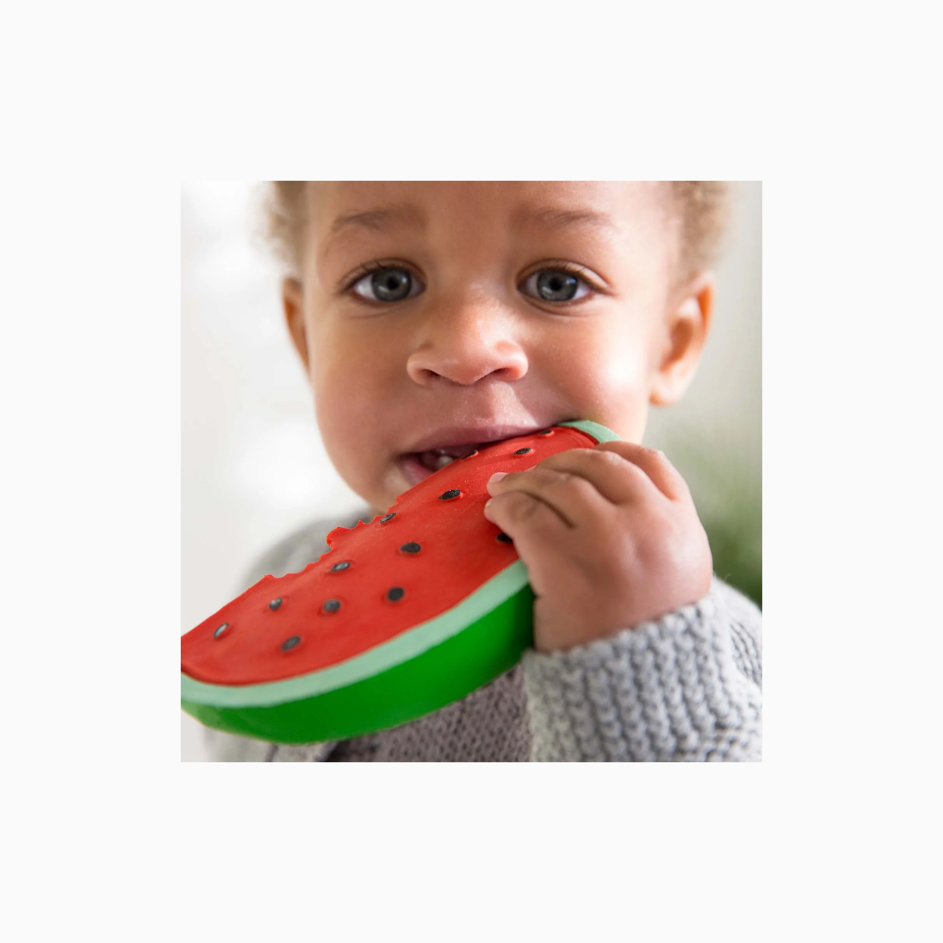 MORDEDOR WALLY A MELANCIA