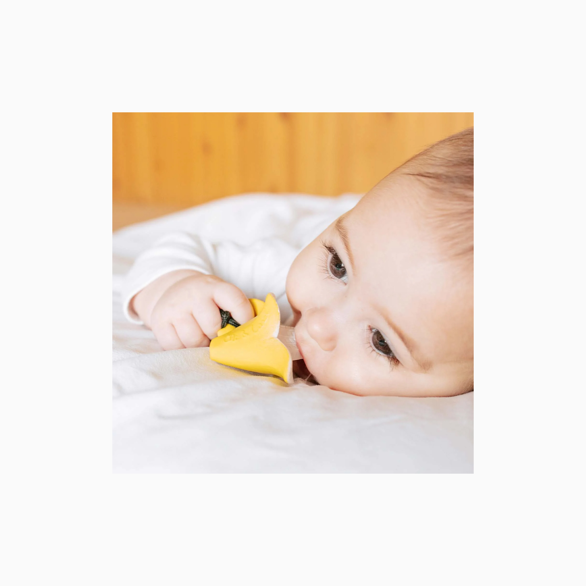 MINI MORDEDOR ANITA A BANANA