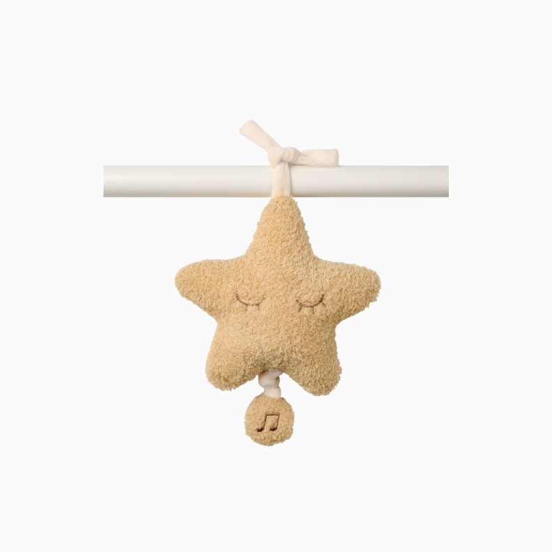 TEDDY MUSICAL ESTRELA