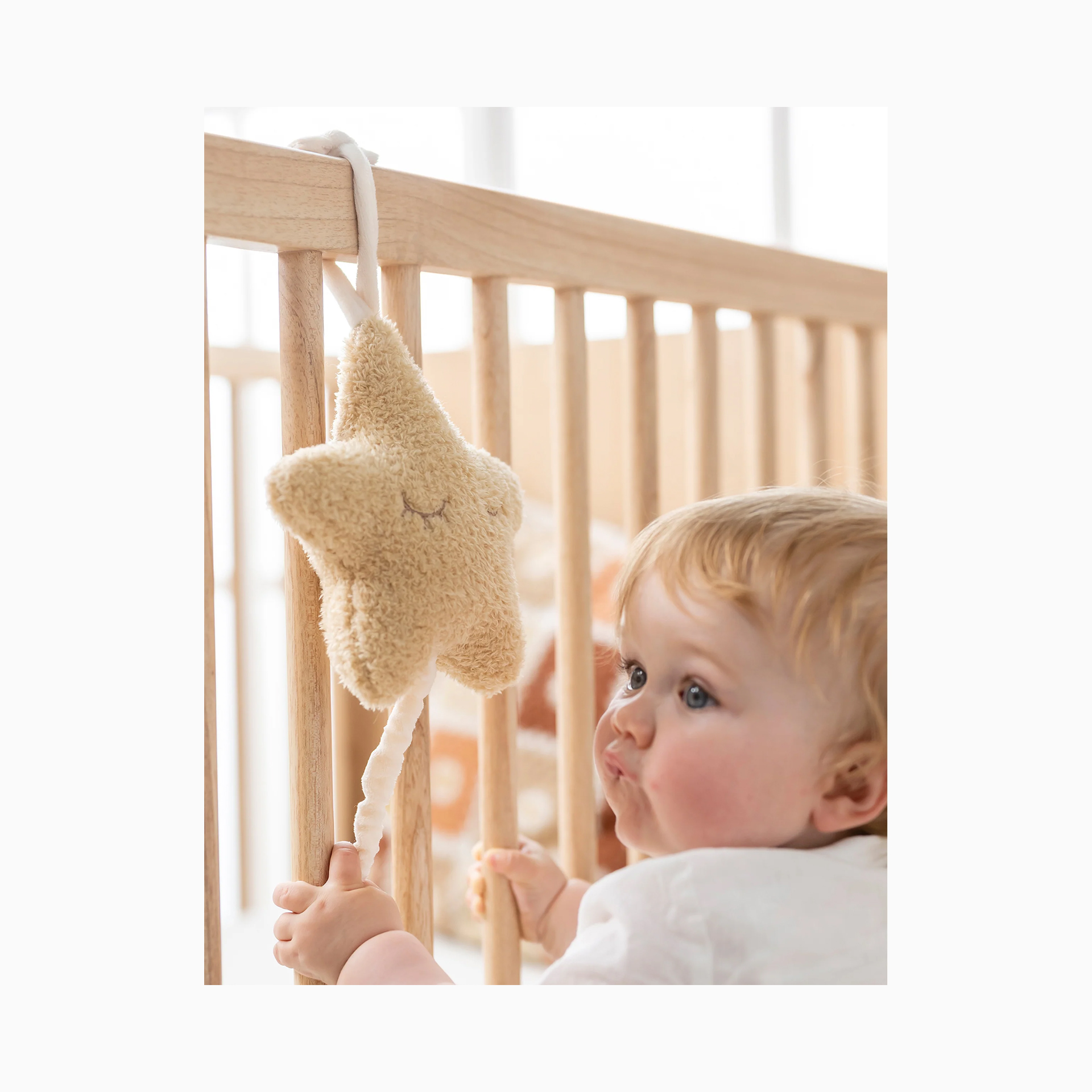 TEDDY MUSICAL ESTRELA