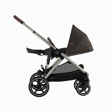 GAZELLE S TAUPE