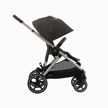 GAZELLE S TAUPE