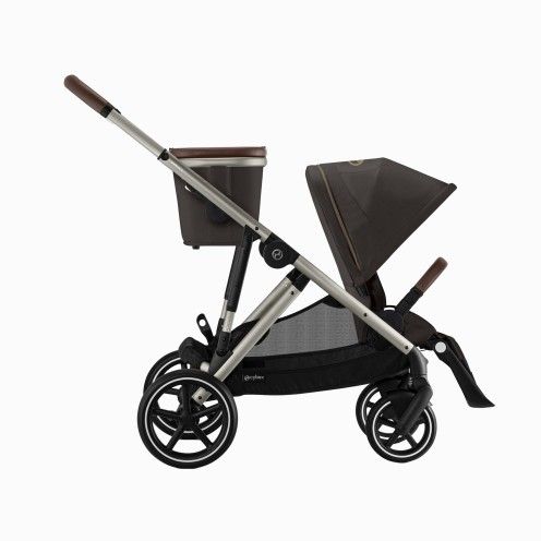 GAZELLE S TAUPE