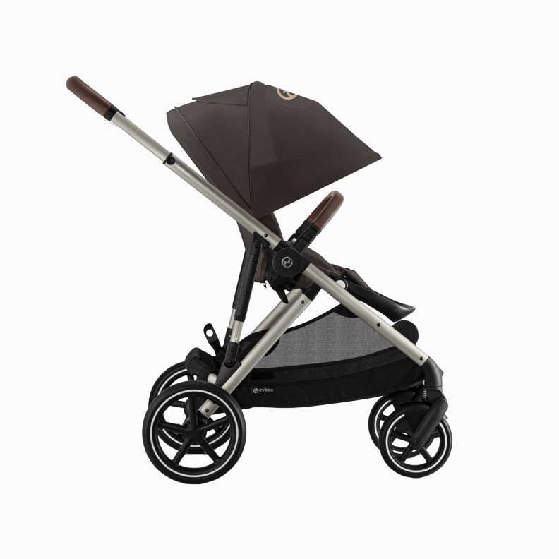 GAZELLE S TAUPE