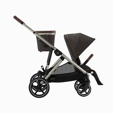 GAZELLE S TAUPE