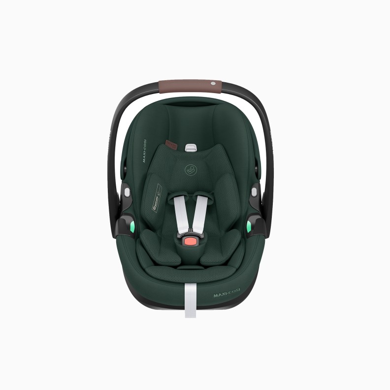 CARRINHO FAME + PEBBLE 360 PRO 2 + ALCOFA FAME
