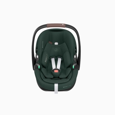 CARRINHO FAME + PEBBLE 360 PRO 2 + OFERTA ALCOFA FAME