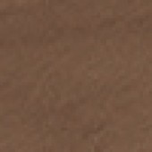 Warm Brown Warm Brown