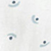 Blueberry Boat Blueberry Boat