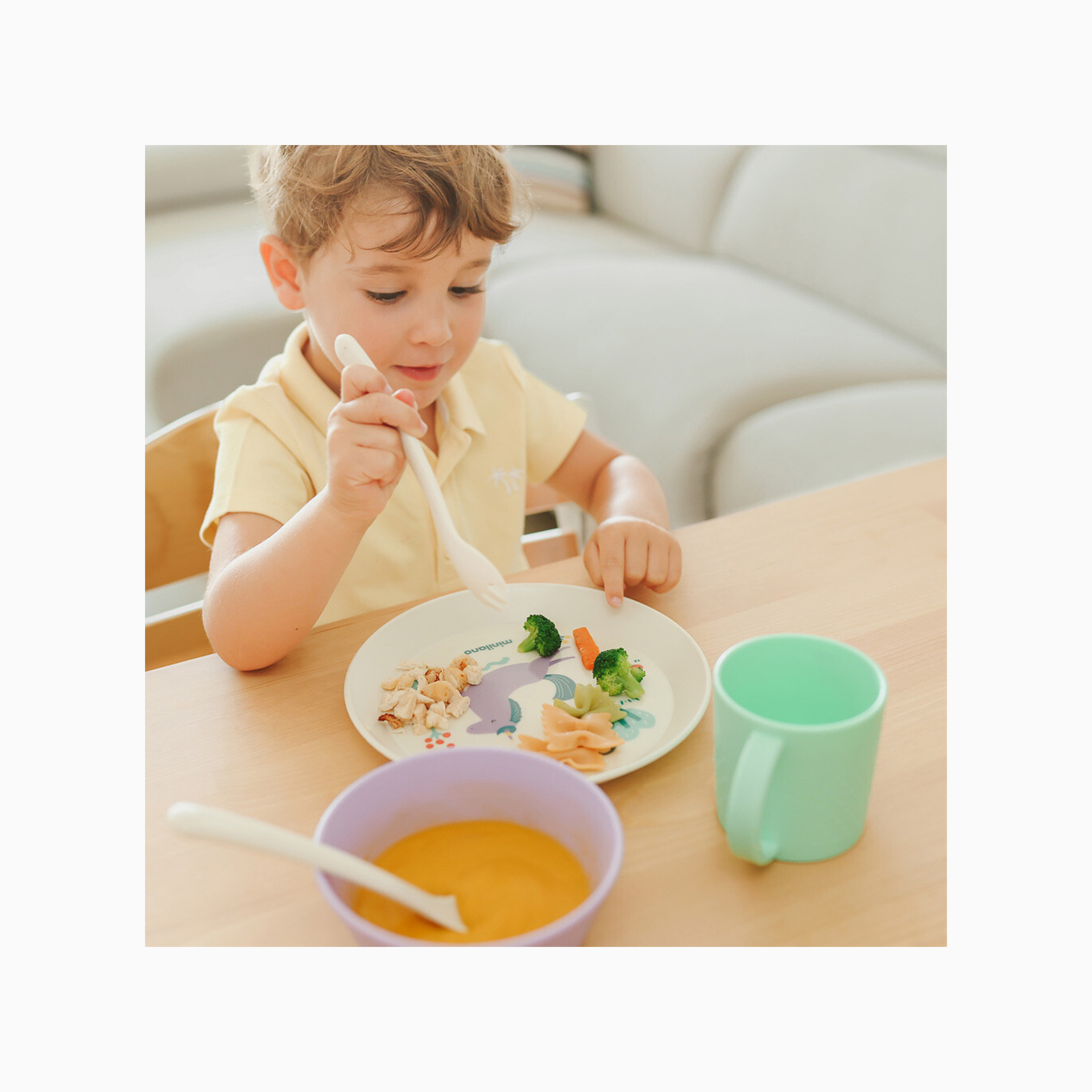 MEAL SET DREAM