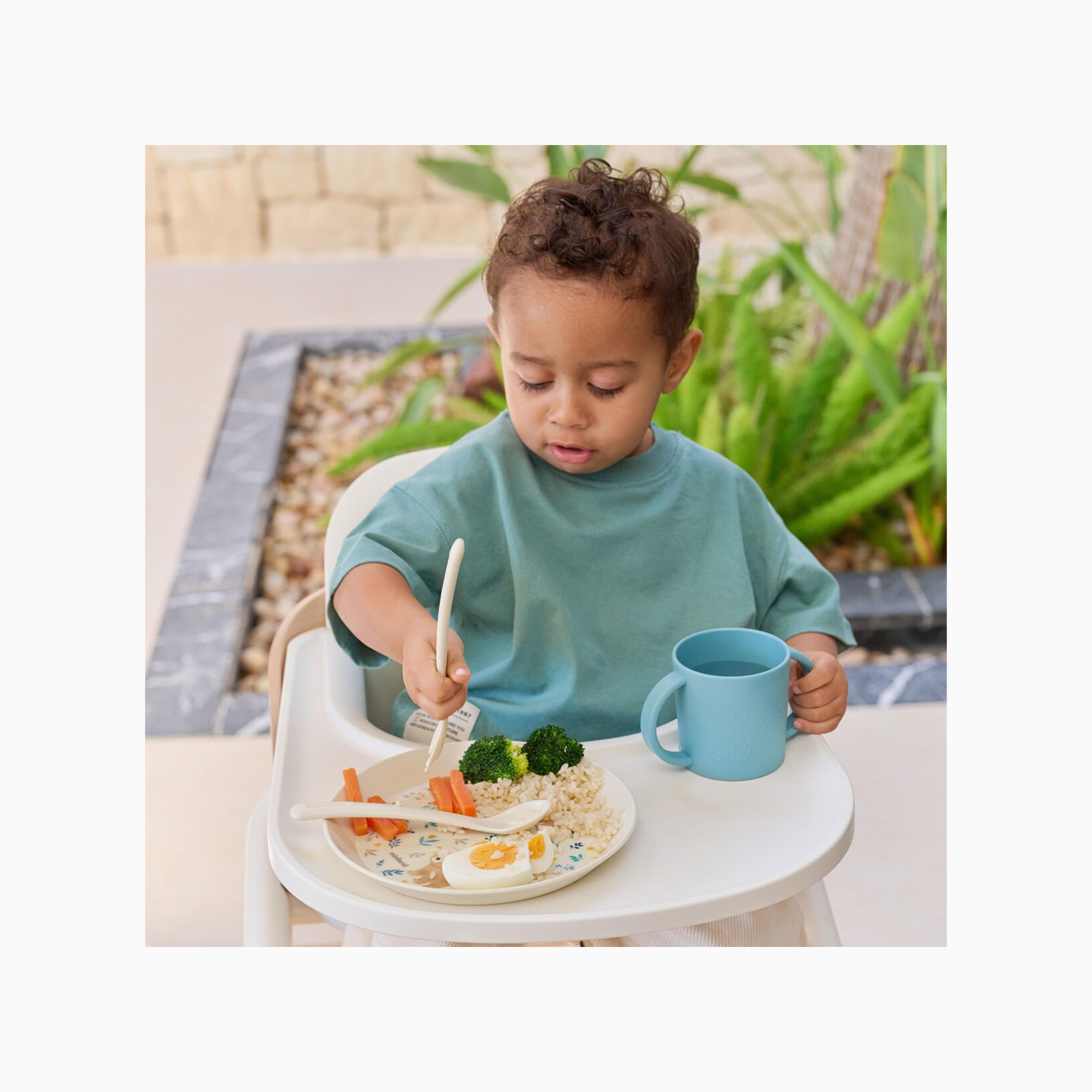 MEAL SET DREAMLAND