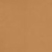 Cinnamon Yellow