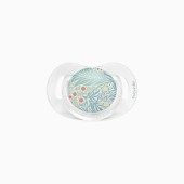 CHUPETA DE SILICONE POETRY 18M+ MENTA