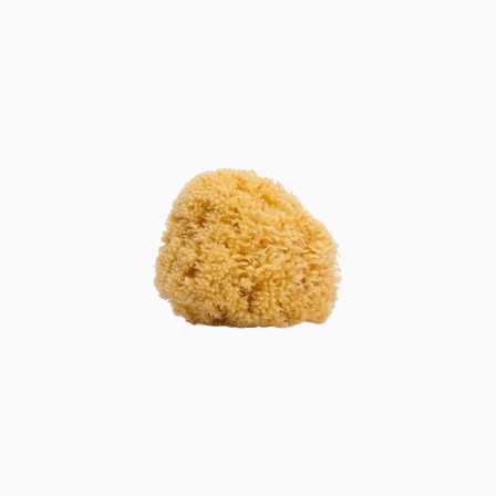 ESPONJA NATURAL GRANDE - Image product