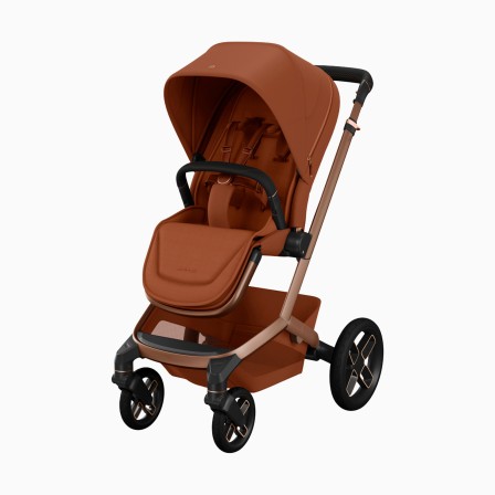 FAME - Image product