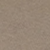 Cashew