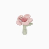 ROCA FLOR - FAIRY GARDEN