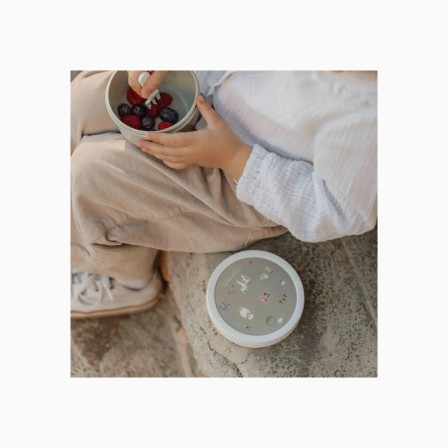 CAIXA PARA FRUTAS - LITTLE FARM