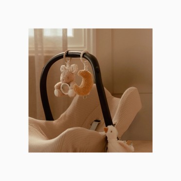CONJUNTO DE FIGURAS VIBRATÓRIAS NEWBORN