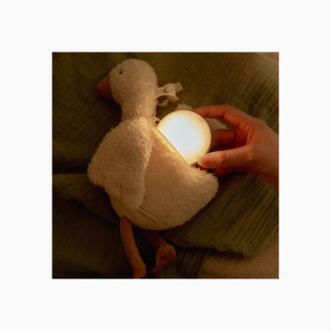 LITTLE GOOSE LIGHT & SOUND
