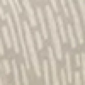 Beige Timber