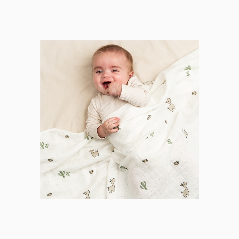 MUSSELINA 120X120 LALEE