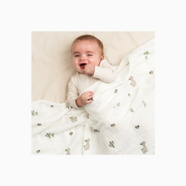 MUSSELINA 120X120 LALEE
